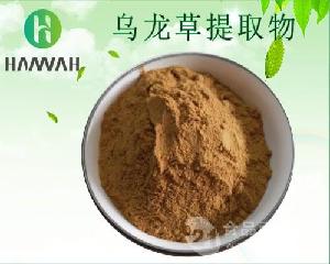 乌龙草提取物10:1 20:1 乌龙草浓缩粉