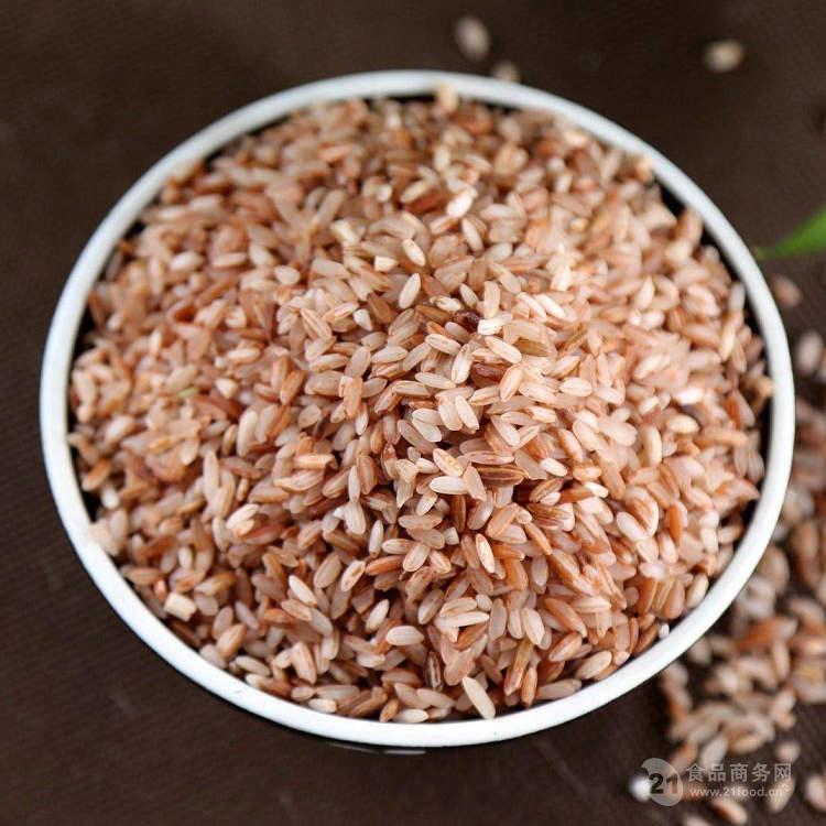 常年批发元阳梯田红米大米新米粗粮糙米饭原产地直销