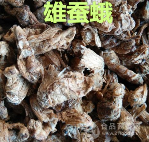雄蚕蛾浓缩粉宁夏凯源25公斤包邮