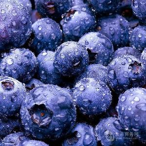 蓝莓粉 现货供应 鲜果加工 水溶  喷雾干燥