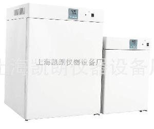 電熱恒溫培養箱DHP-9272