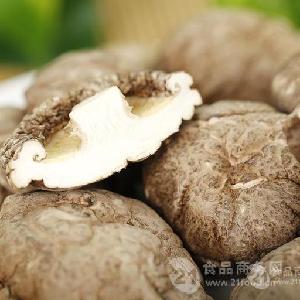 慶元香菇 有機香菇