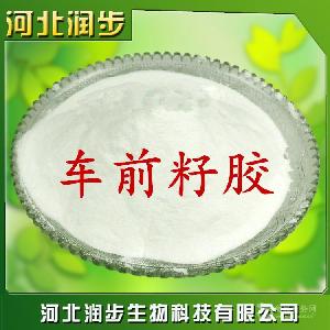 食用車(chē)前子膠報(bào)價(jià)