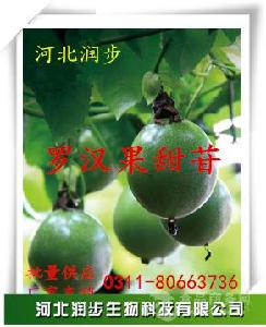 食品級(jí)羅漢果甜苷價(jià)格作用