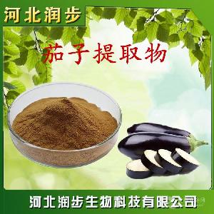 茄子提取物在食品加工中的應(yīng)用