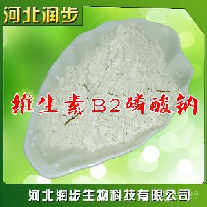 石家莊維生素B2供應(yīng)商 維生素B2報價