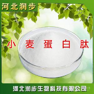 石家庄小麦子蛋白肽供应商 小麦蛋白肽报价