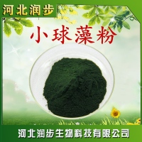 食品小球藻粉生產(chǎn)