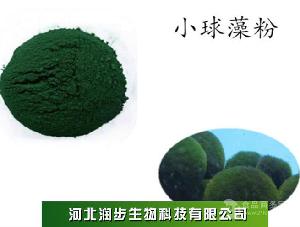 小球藻粉价格 CAS 724424-92-4