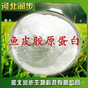鱼皮胶原蛋白价格 CAS 9064-67-9