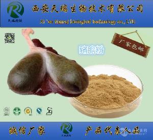 猪胆 猪胆粉的功效与作用